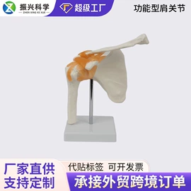 医药教学器材;教学演示用品