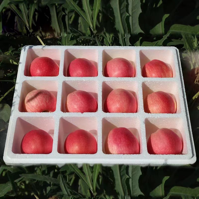 微信图片_2022060115370628