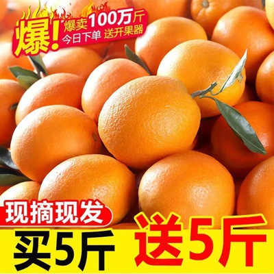 Navel wholesale Season Orange fresh fruit Hand stripping Rock sugar Orange Juicing Full container Jiangxi Province Gannan On behalf of