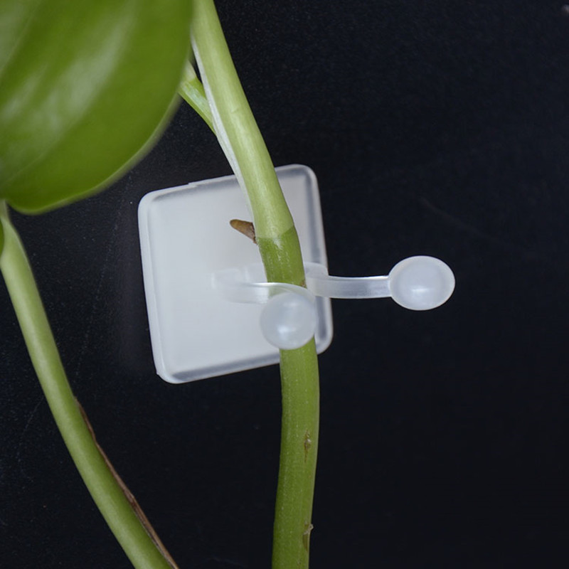 绿萝爬墙上花器绿植固定器绿箩家用无痕卡扣绿枝爬藤杆夹子室内|undefined