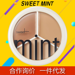 sweetmint concealer dark circles concealer all-in-one plate concealer dry skin mintine concealer concealer giant concealer
