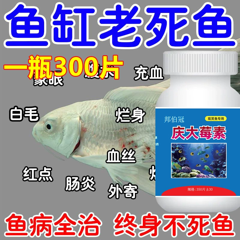 [Одна бутылка по 300 таблеток] Гентамицин для рыб, золотых рыбок и кои с гнилыми хвостами и гнилыми плавниками, импортированный специально для гнилого тела.