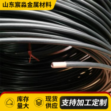 PVC�����~�� TP2�������~�� ���{��|/������ �o�ך�·��