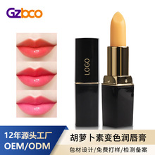 ���������N�Ɯ�׃����ڼt����մ���̝�������}����׃ɫ������