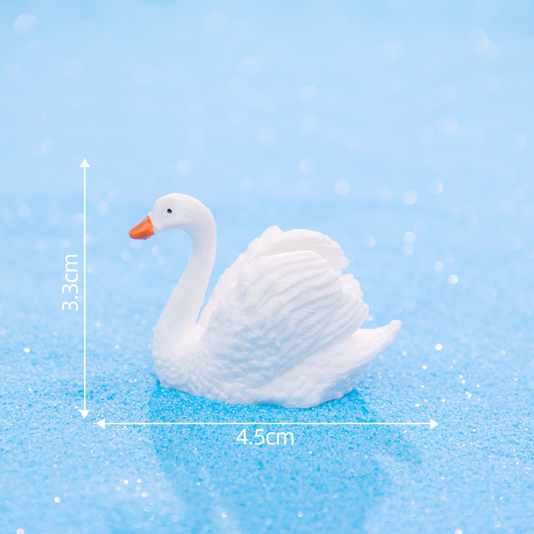 아름다운 백조 4