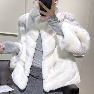 �Ќ���~һ�����l��Ƥ�H��ë�p��ëë������ë����Ƥ������Ů