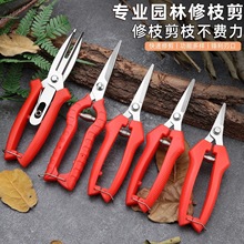 摘果剪修枝剪 稀果园艺剪水果桔子蔬菜采摘葡萄剪刀摘果采果剪刀