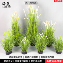 ����Gֲ��β�Ͳݷ��滨�JȔ�ݼٲݷ���؈β�ݼ�ֲ�ﻨ���b��쾰