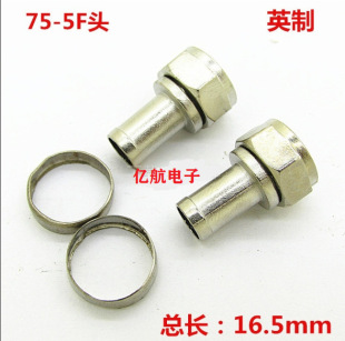 �S��ֱ�NӢ��F�^-5�\�Ͻ�F�^��|�����^�l���ҕ�B�����~�h�B���^