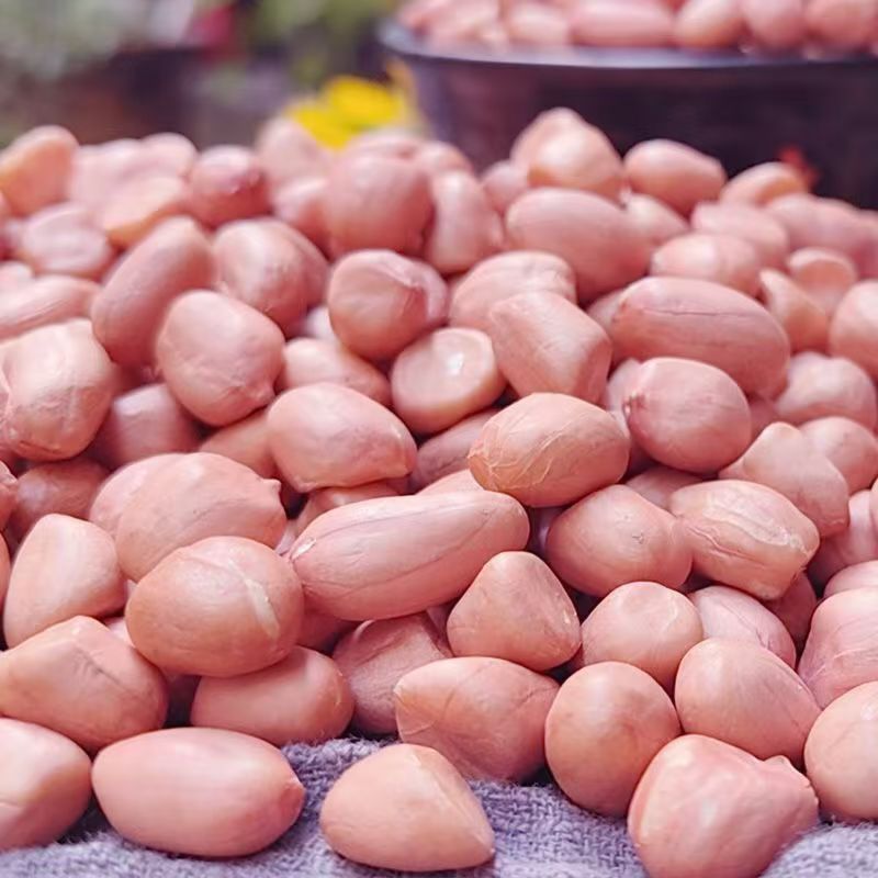 当季新货白沙花生米大量现货农家自产五谷杂粮白沙花生米一件代发