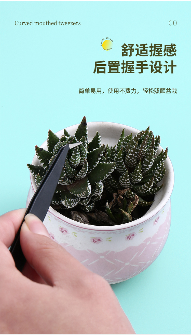 240202多肉镊子_07.jpg