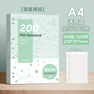 A4 / 100 - Cuaderno desgarrado - Menta Azul