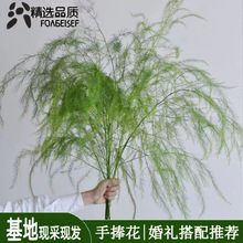 �J�����J�S����ϻ���ֱ�l�Y���b�����仨С�����¼�ͥ�廨ˮ�B