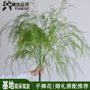 �J�����J�S����ϻ���ֱ�l�Y���b�����仨С�����¼�ͥ�廨ˮ�B