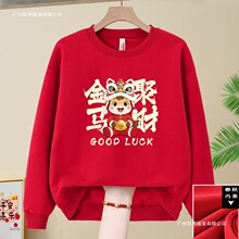 2026���곤��t�����´��ڹ�˾�����Ů�������Ž��ۻ������