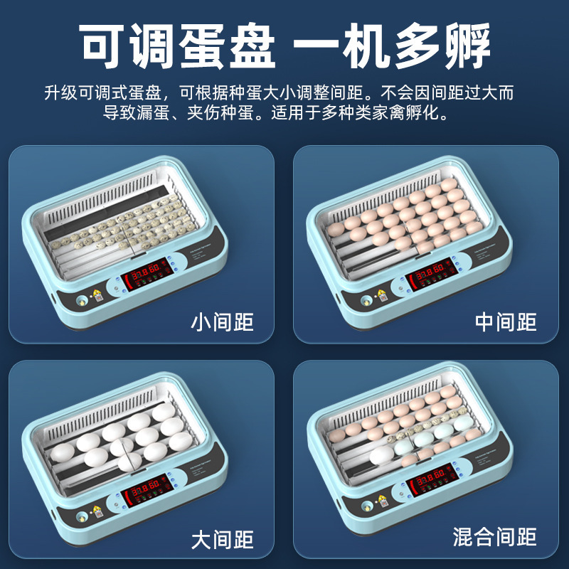 Incubadora, hogar pequeño, incubadora inteligente automática, incubadora, incubadora, loro, huevo de pájaro, pollo, pollo, pollo