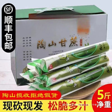 ��S��ɽ����F؛��Ƥ�GƤ��������خaˮ����������5��Y���ͶY