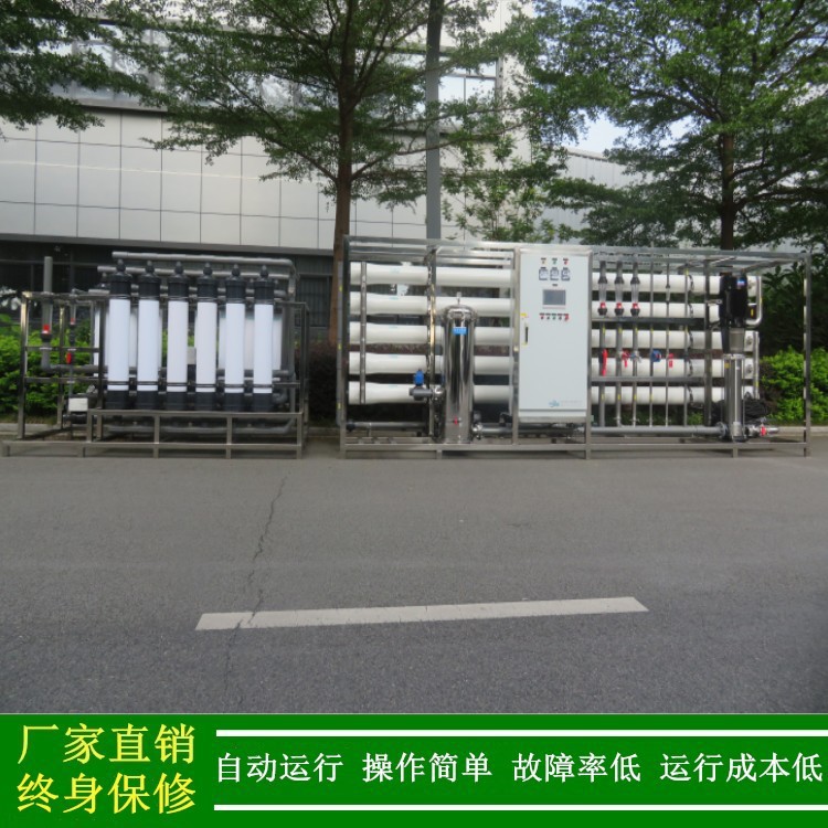 供应反渗透水处理成套设备含加药系统RO膜化学清洗系统净水器绿健