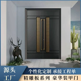 进户门