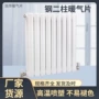 新型壁挂式二柱家用暖气片