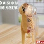 4dmaster教学拼装解剖模型