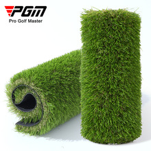 PGM�����ƺ���X�ݷ¼������ϲݼٲ�ͥԺ��̺grass�����