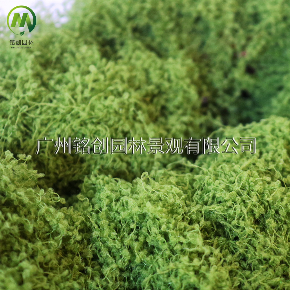Simulación de decoración de micropaisaje de musgo, césped de musgo falso, musgo filamentoso, plantación verde, simulación de paisajismo, musgo