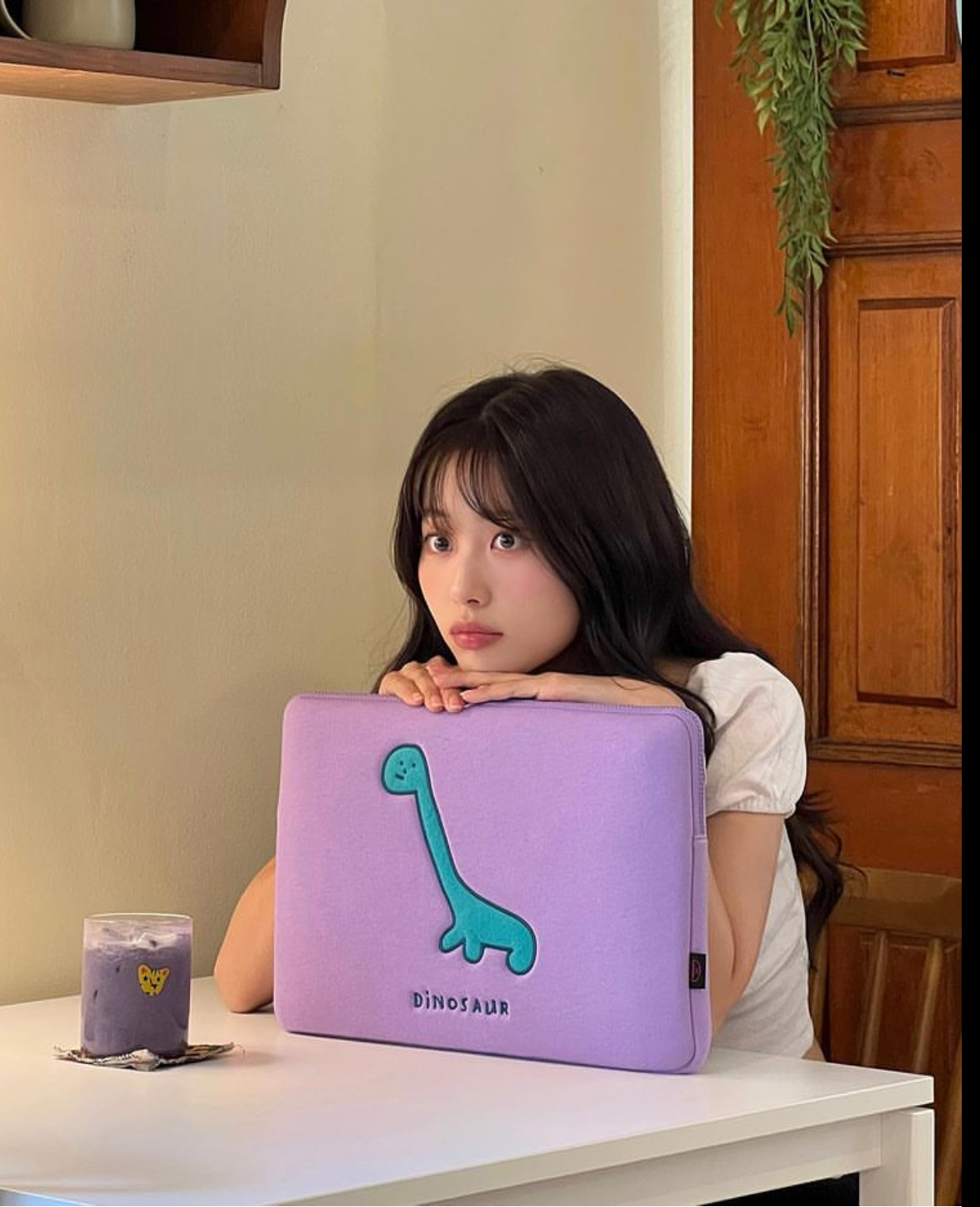 Foreign Trade Dinosaur Apple Laptop Bag Korean Cute Pro13 Inner Bag1511 Inches