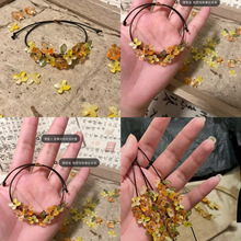 ʮ�ﵤ��  ������ֹ��������ֵ���K����H�|��������朶Y��