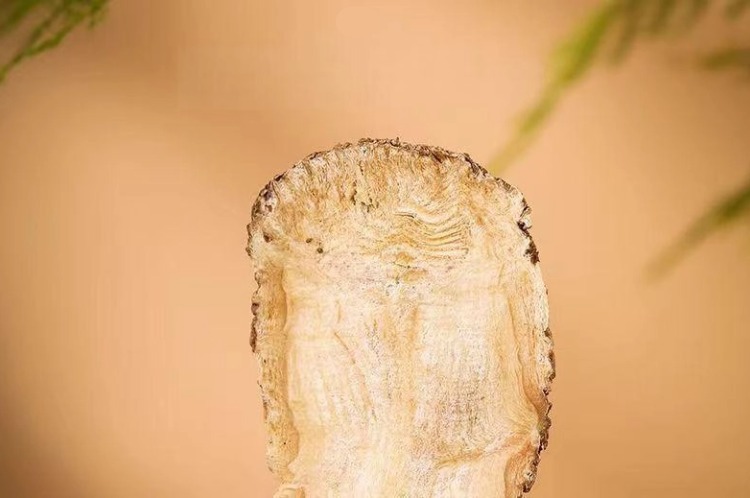 Dried Angelica Root Head Slices Large Thick Texture Selected Dong Gui Tou Pian for Herbal Soups and Decoctions quality and texture