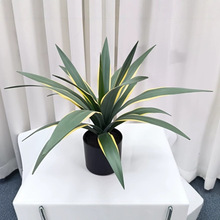 �Ꭷ�Gֲ��߅�����mɳĮֲ���쾰�b�����ޥ�m�~�٘���滨�߷���