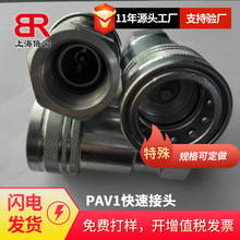 供应意大利DNP快速接头 PAV1(ISO 7241-A)