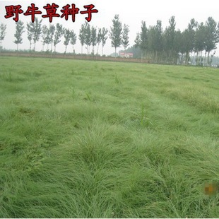 ���lҰţ�ݷN���o�¹�����ƺ�ݷN�Ѱ����ļ��L���ͺ��ͺ���������