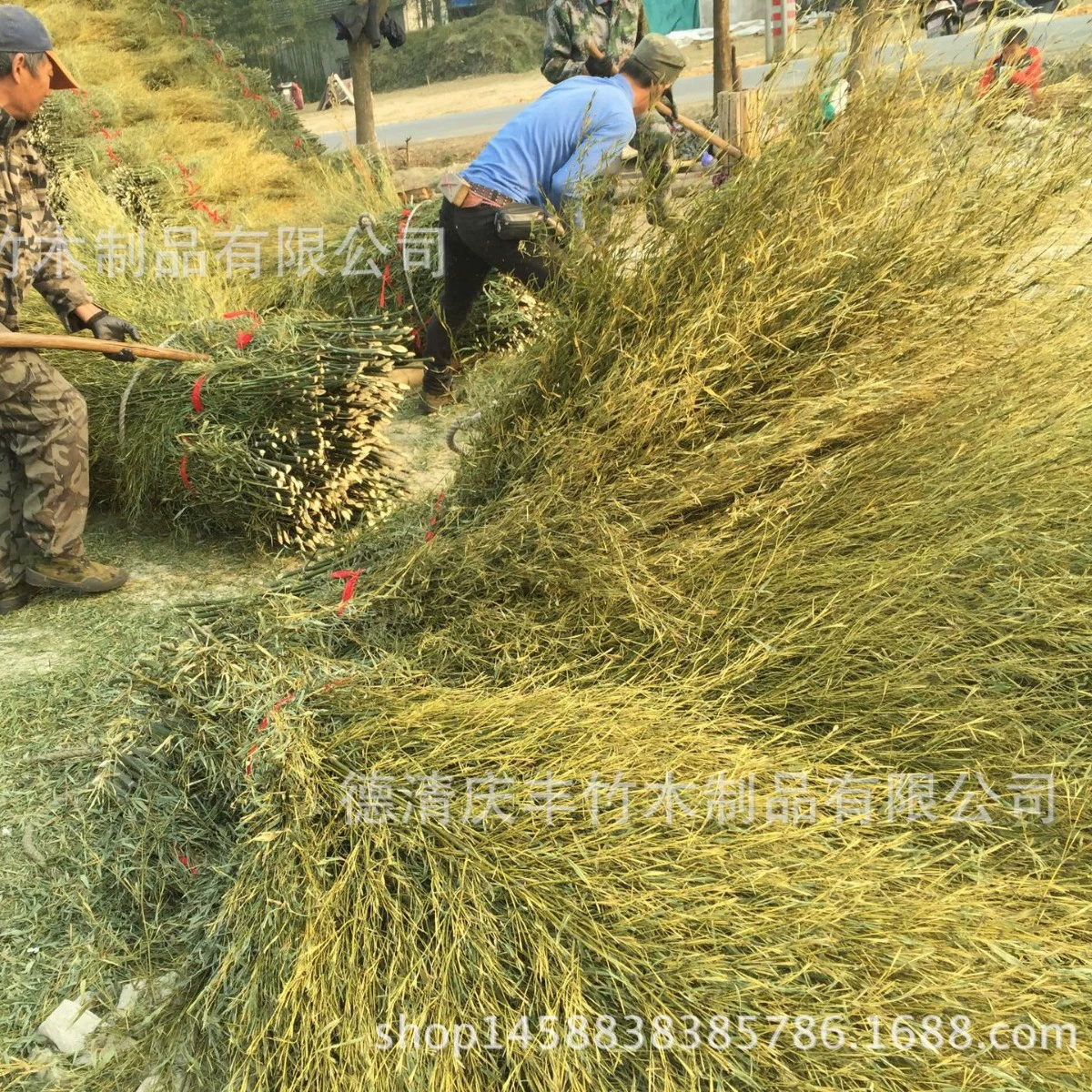 Происхождение большого количества оптовых различных требований к качеству бамбука тонкой обработки бамбукового веника сырья