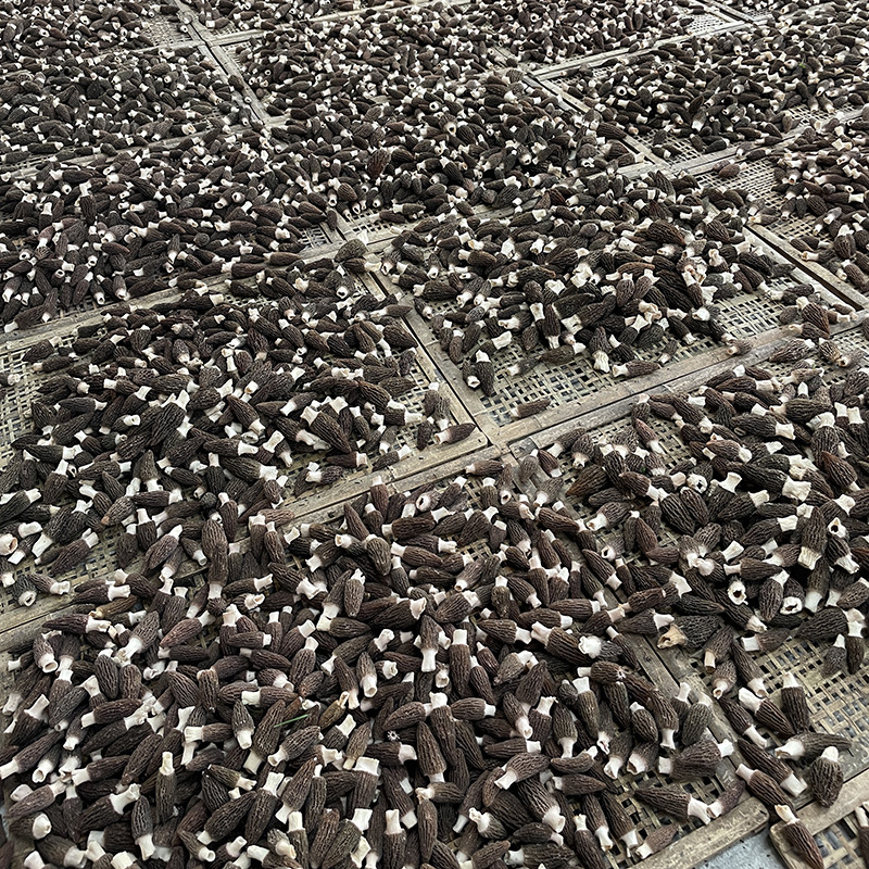 微信图片_202303281653222