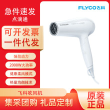 飞科吹风机家用大功率2000W护发可折叠发廊家用电吹风筒FH6232