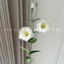 3�^��۹� �Ҿ��b�ˇ�[�������ٻ�������ɫ��ɫ��۹���������