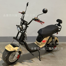电动滑板车;其他电动车;电动摩托车