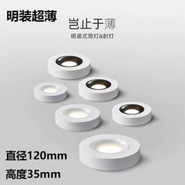 射灯;筒灯;水族照明设备