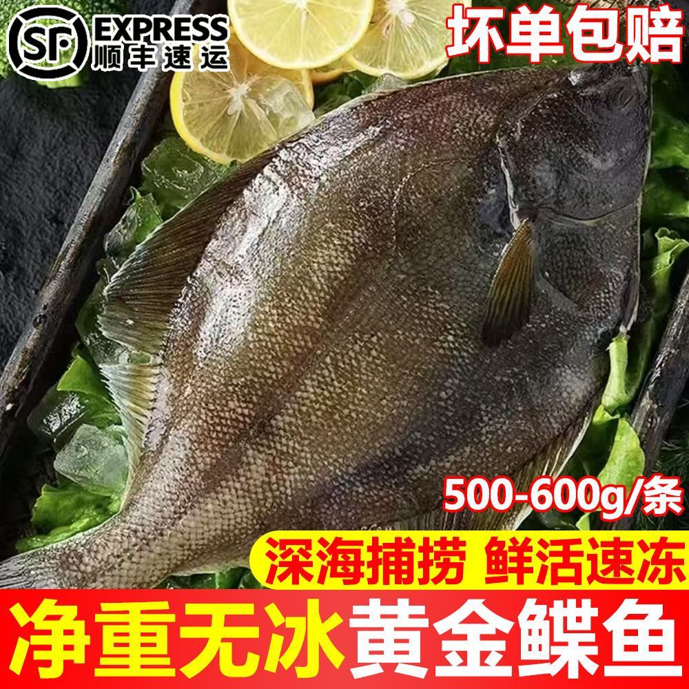 鲽鱼新鲜冷冻偏口鱼整条大号深海多宝鱼比目鱼冷冻水产商用批发