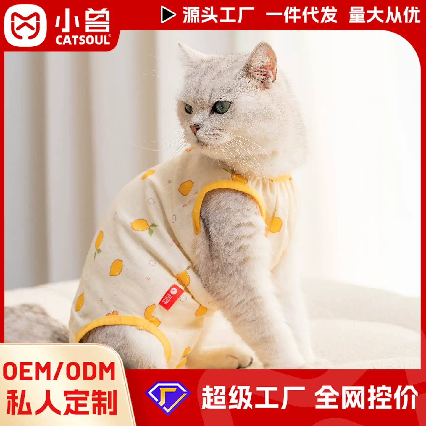 2025新款春夏天包肚衣公猫小奶猫外出透气圆领轻薄两脚衣宠物衣服