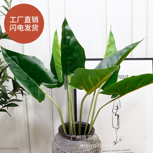 õ���ָ��~�ӻ��Q�~����ֲ���z�~�廨����ins�L���溣���~�����~