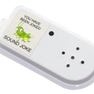 Modern Funny Trick Light Sensor Cricket Sound Sticker, Processed and Customized Pvc Material Digital Movement Toy Sticker