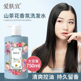 山茶花香氛洗发水清爽控油持久留香深层清洁补水保湿洗发露批发