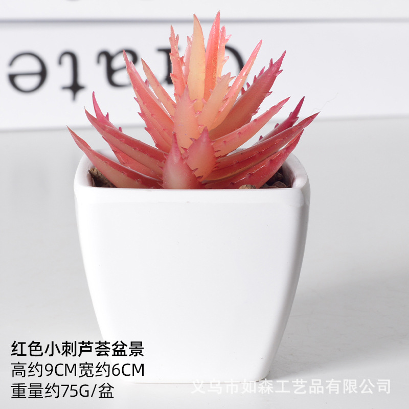Simulación de plástico carnoso bonsai flor falsa combinación oficina interior escritorio plantas verdes pequeños adornos plantas artificiales al por mayor image 21
