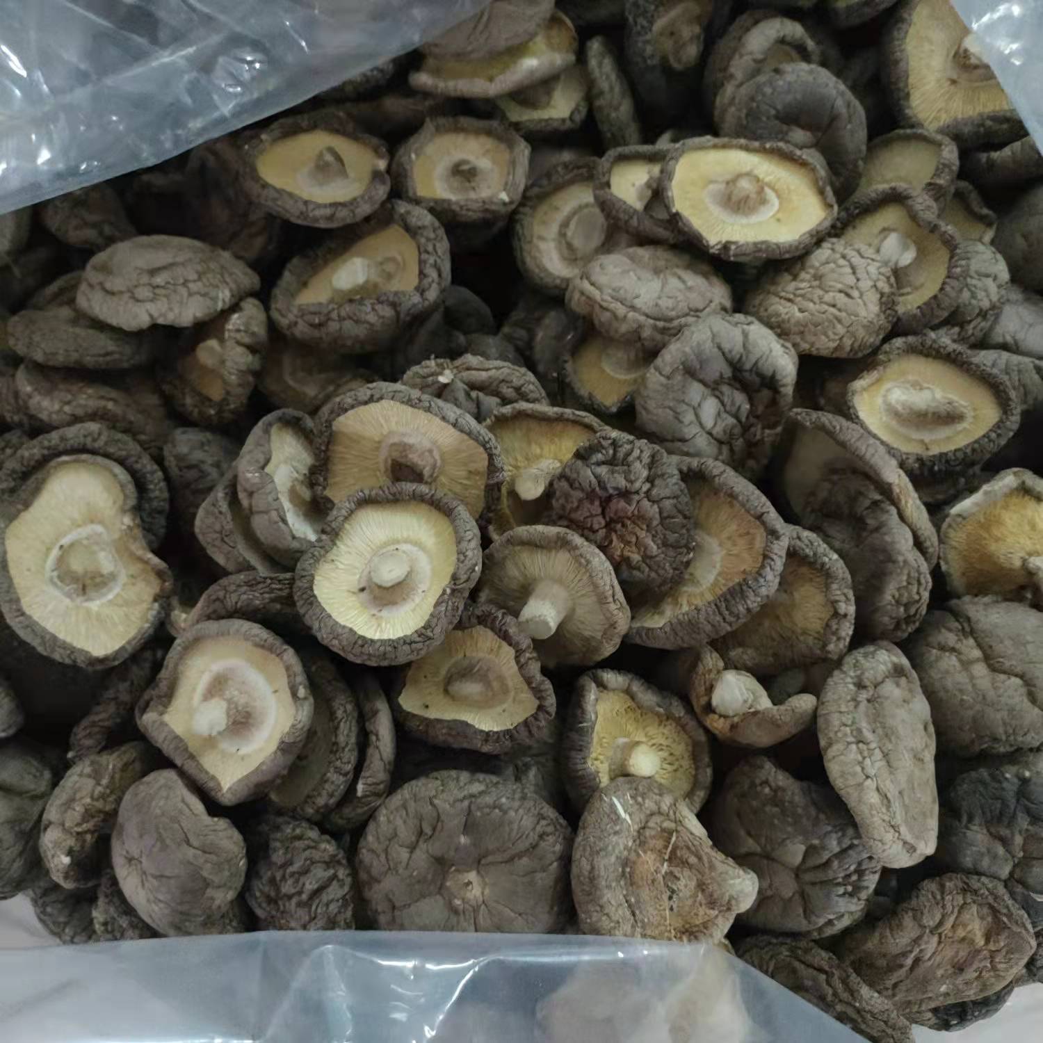 abb981cae616540f32274674698ab4