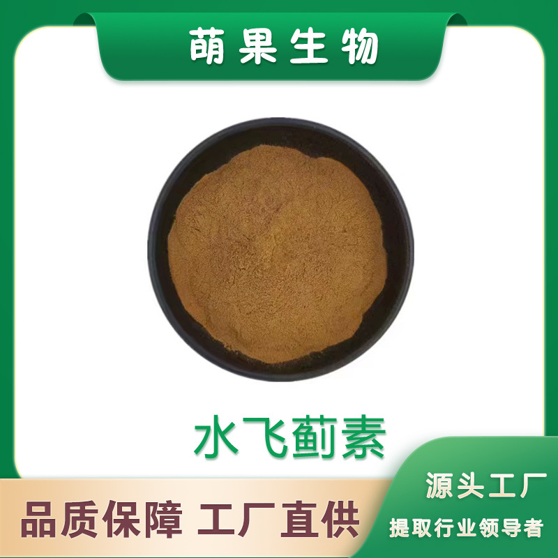 80%含量水飞蓟素 水飞蓟提取物 厂家现货  水溶水飞蓟粉 量大价优