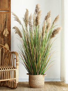 ֲ�������JȔ�ݷ����Gֲ�������҃ș����T������b��^�[��