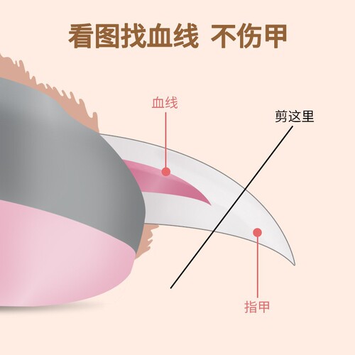 宠物指甲剪狗狗指甲刀磨甲器猫咪指甲钳LED灯光防血位修指甲器