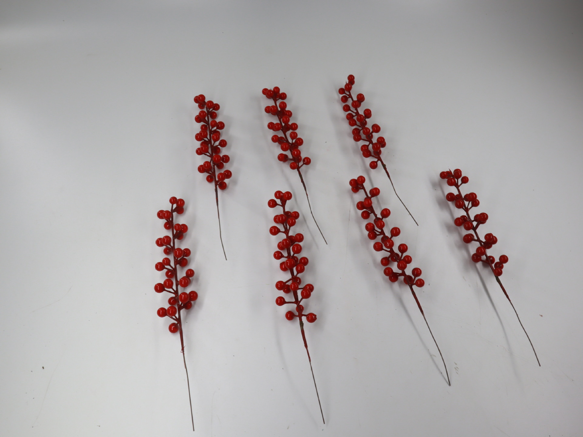 小红果单头 (4).JPG